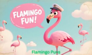 Flamingo Puns