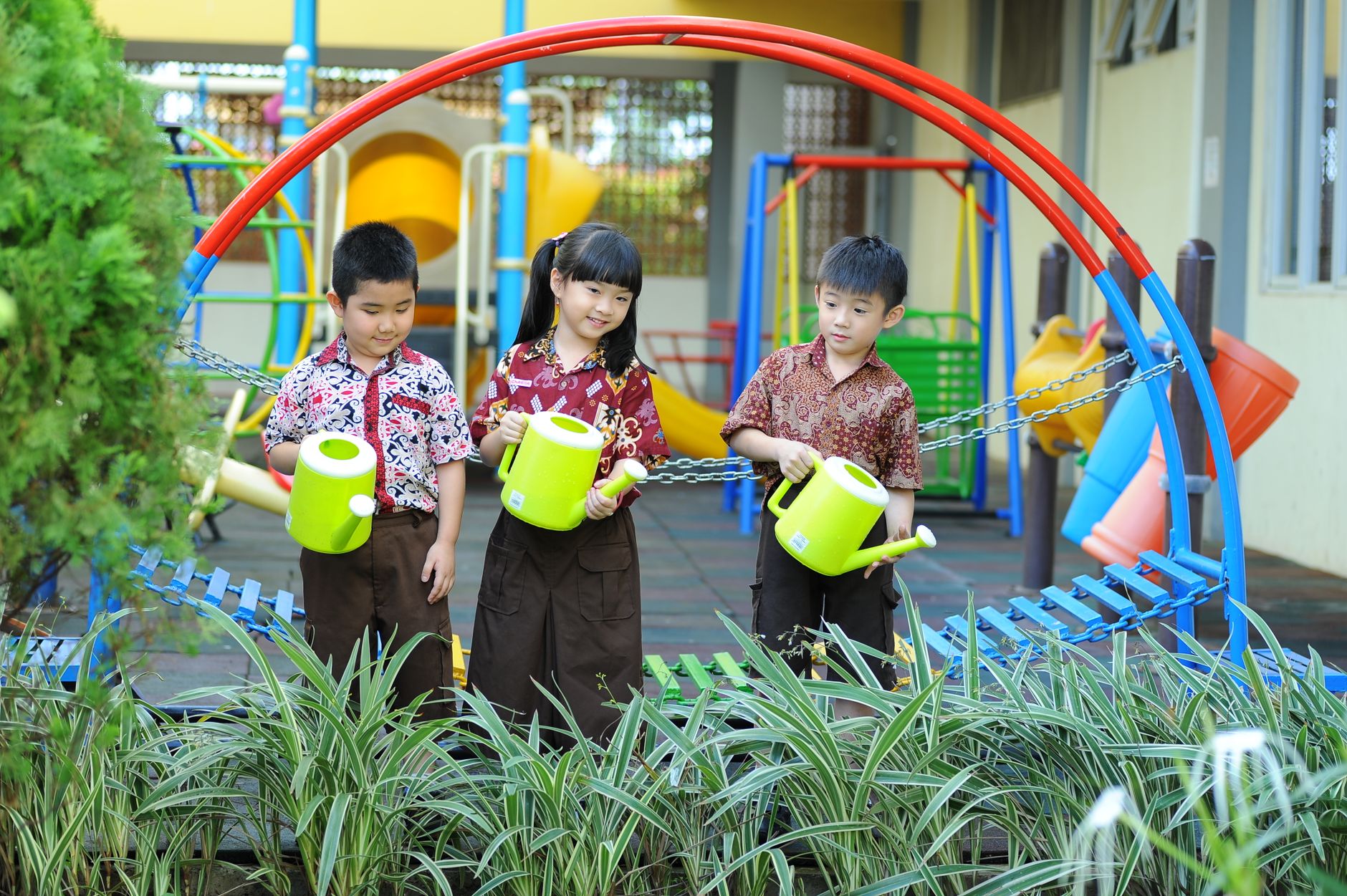 International Nursery